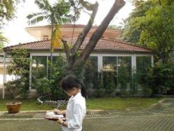รูปที่ 8