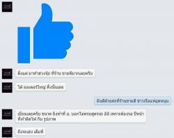 รูปที่ 1