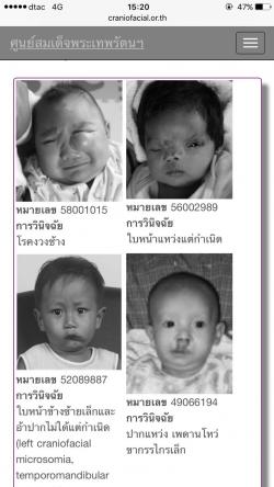 รูปที่ 3