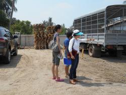 รูปที่ 1