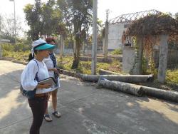 รูปที่ 1