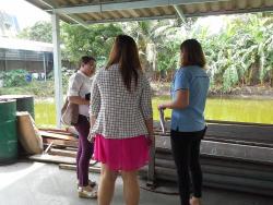 รูปที่ 1