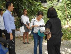 รูปที่ 3