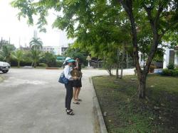 รูปที่ 1