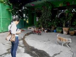 รูปที่ 2