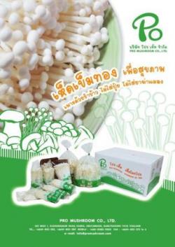 รูปที่ 1