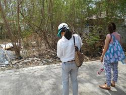 รูปที่ 2