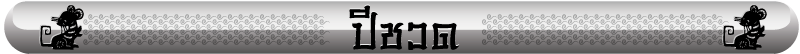 ปีชวด